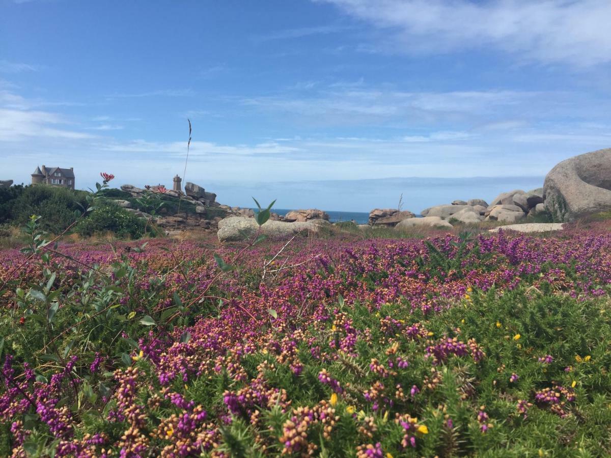Cote De Granit Rose Lejlighed Perros-Guirec Eksteriør billede